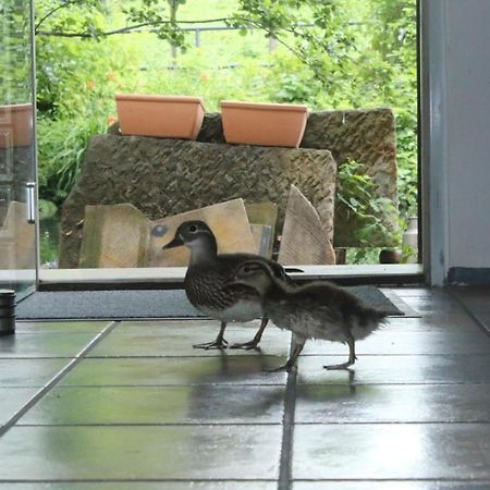 Gerberhaus Cottbusアパートメント エクステリア 写真