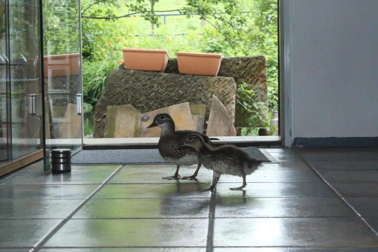 Gerberhaus Cottbusアパートメント エクステリア 写真